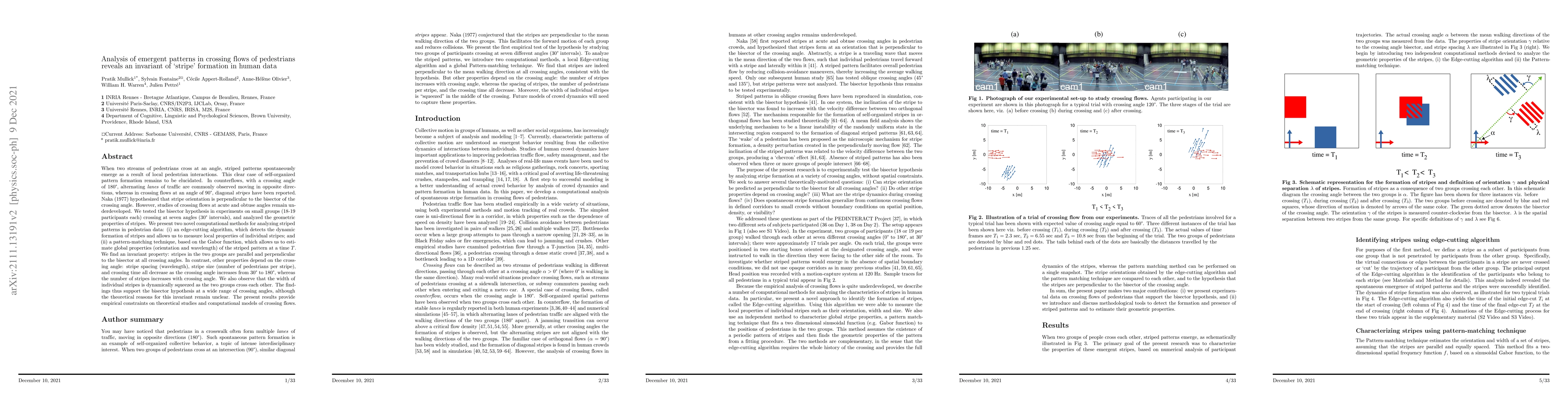 Thumbnail for Analysis of emergent patterns in crossing flows of pedestrians reveals
  an invariant of `stripe' formation in human data