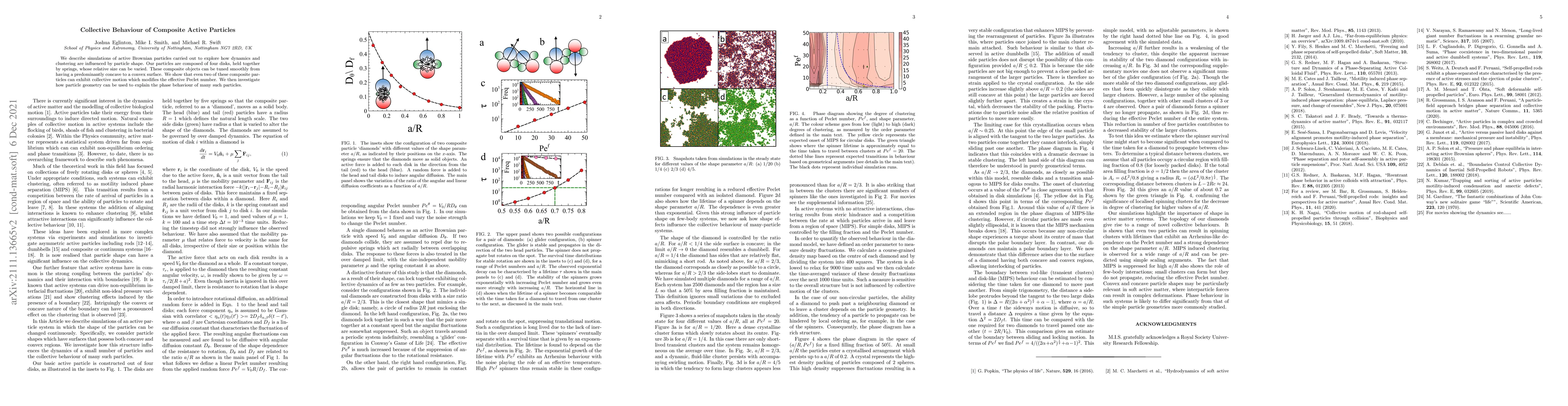 Thumbnail for Collective behavior of composite active particles