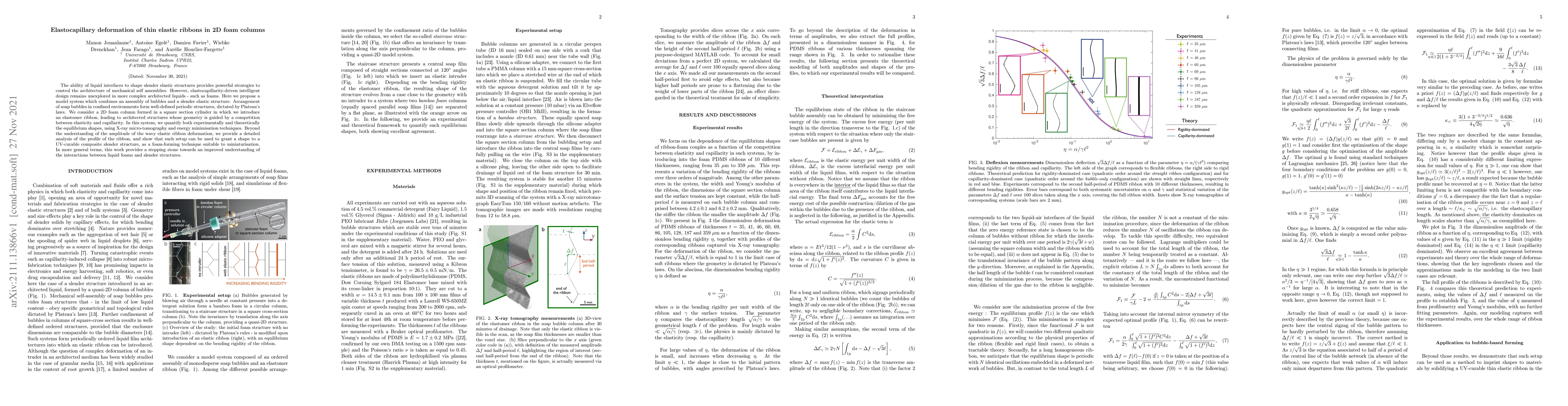 Thumbnail for Elastocapillary deformation of thin elastic ribbons in 2D foam columns