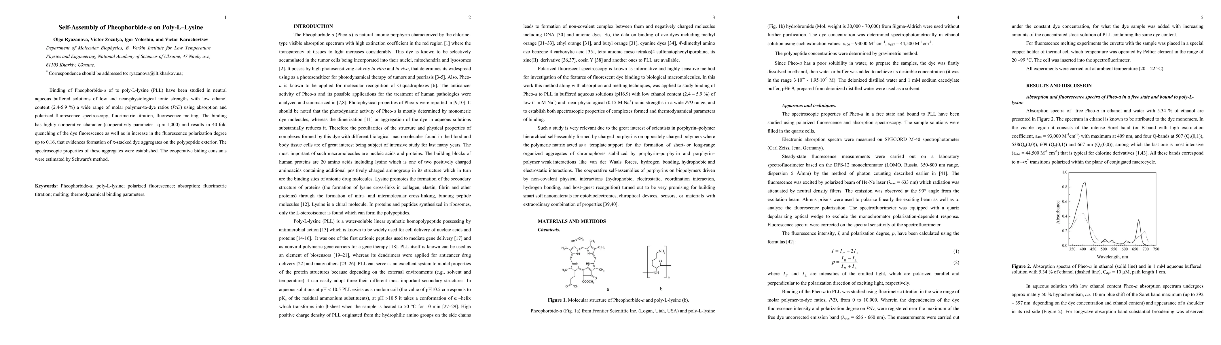 Thumbnail for Self-Assembly of Pheophorbide-a on Poly-L-Lysine