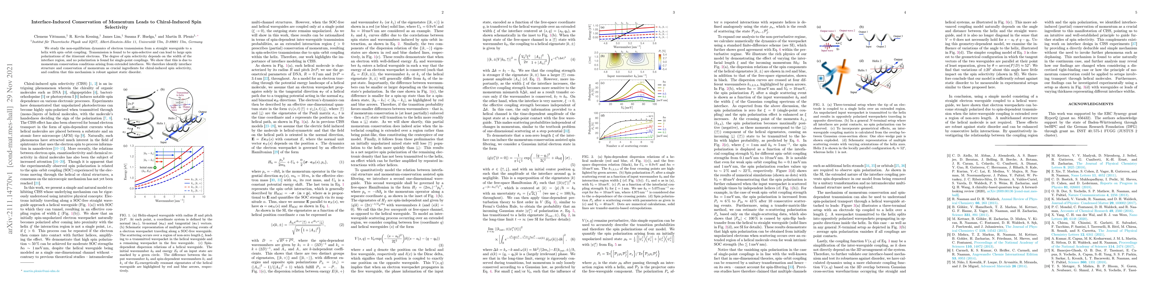 Thumbnail for Interface-Induced Conservation of Momentum Leads to Chiral-Induced Spin
  Selectivity