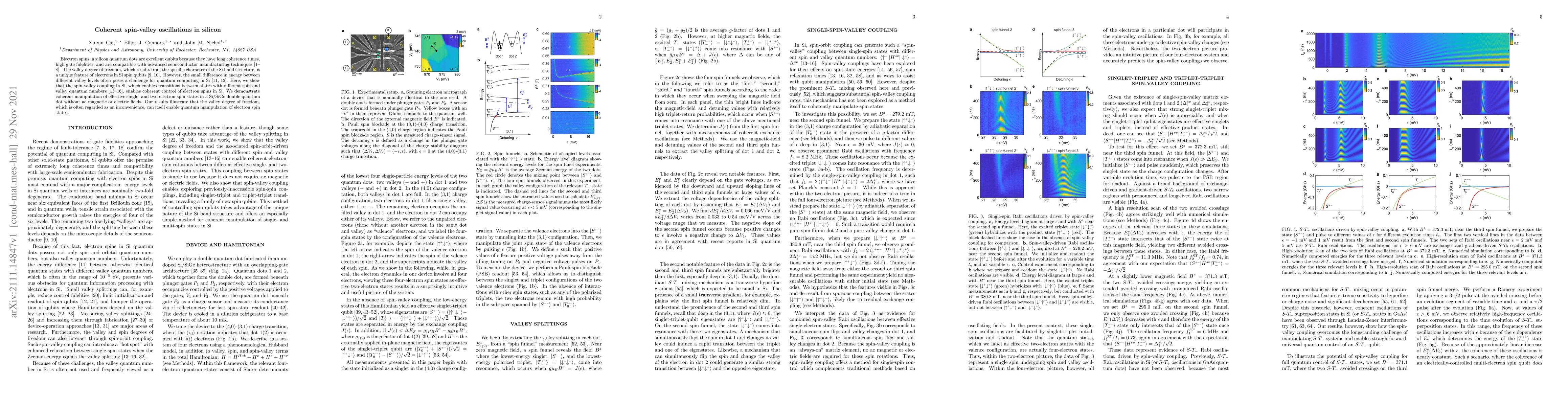 Thumbnail for Coherent spin-valley oscillations in silicon