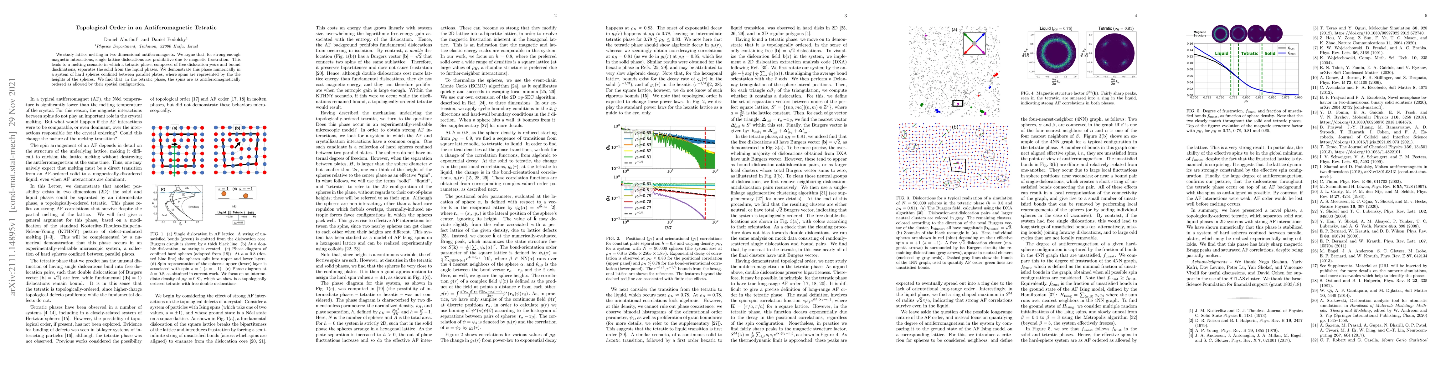 Thumbnail for Topological Order in an Antiferomagnetic Tetratic