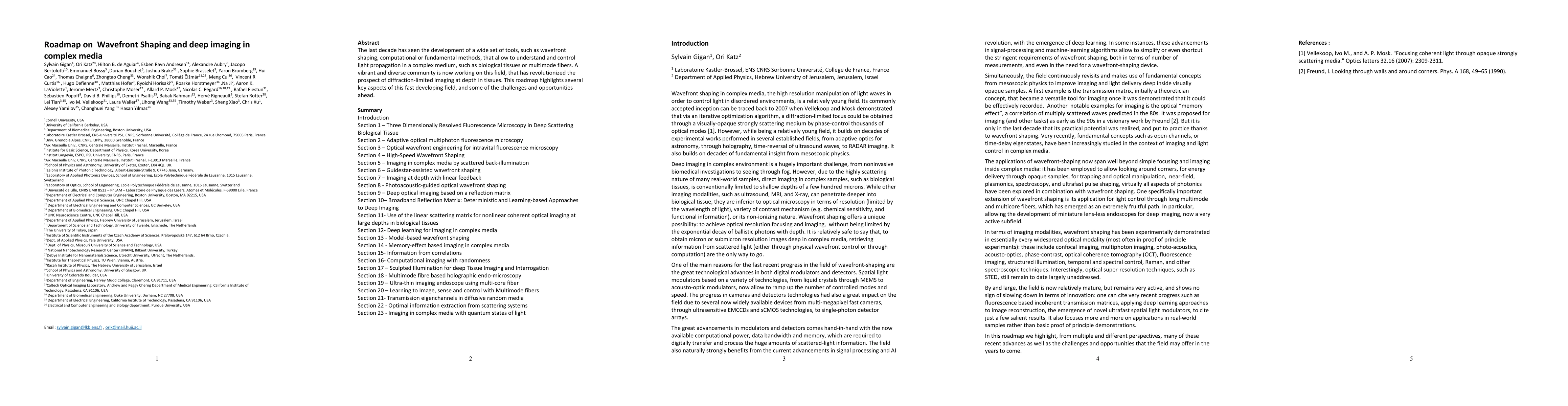 Thumbnail for Roadmap on Wavefront Shaping and deep imaging in complex media