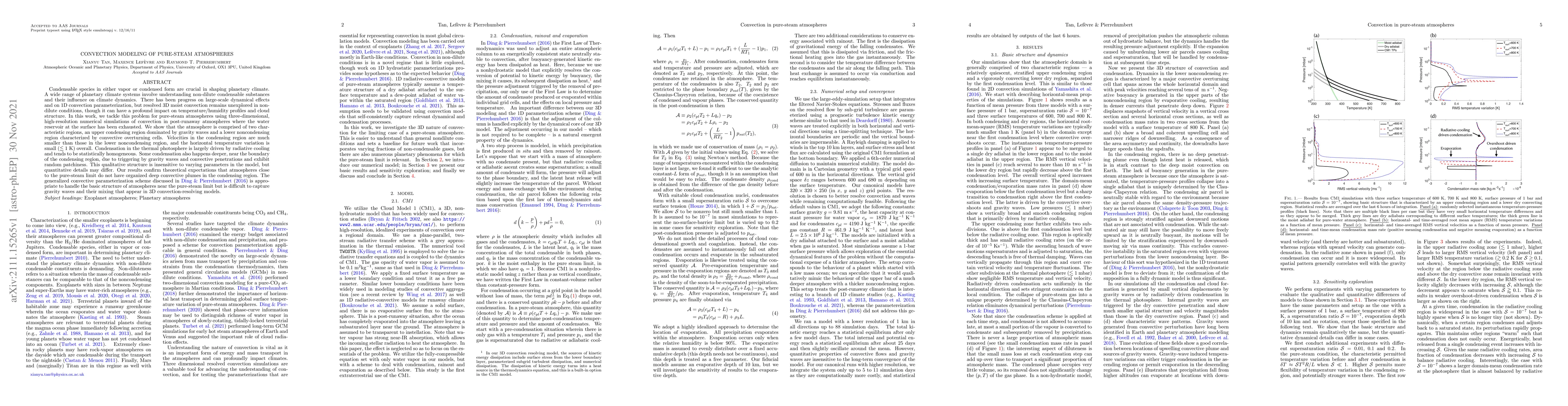 Thumbnail for Convection modeling of pure-steam atmospheres