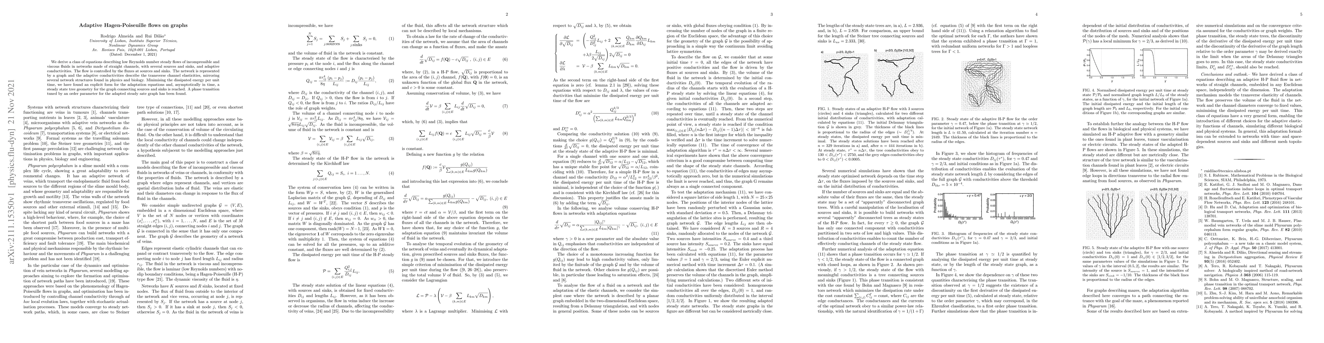Thumbnail for Adaptive Hagen-Poiseuille flows on graphs