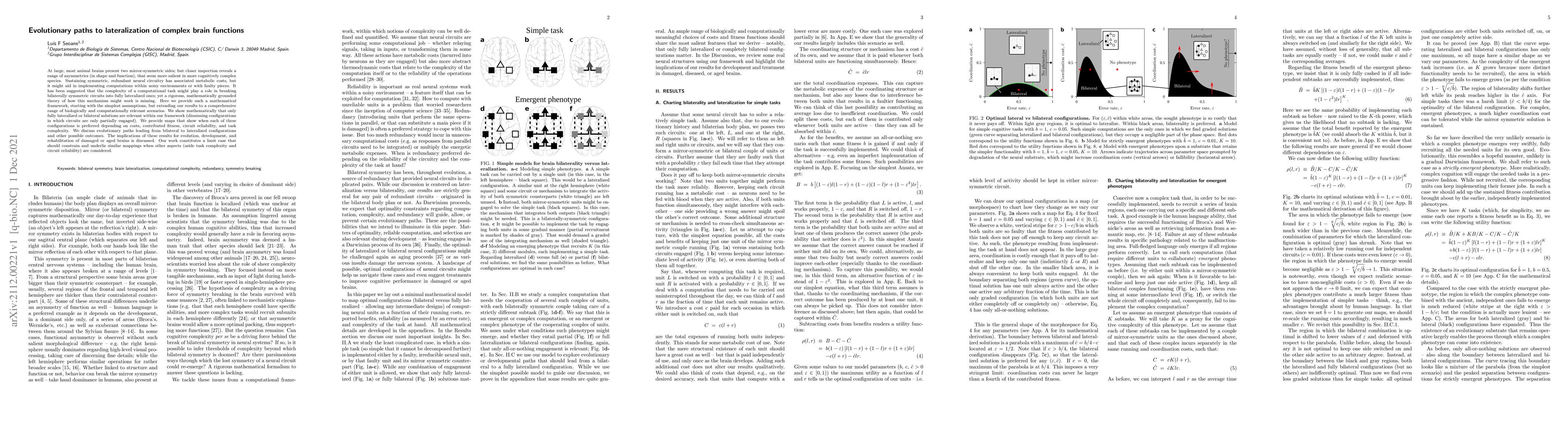 Thumbnail for Evolutionary paths to lateralization of complex brain functions