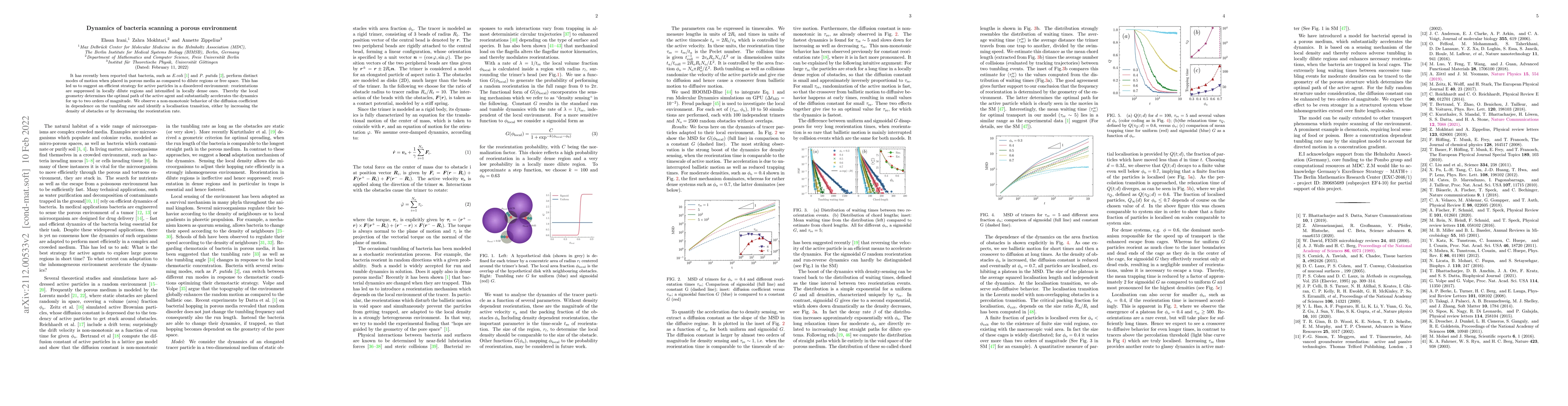Thumbnail for Dynamics of bacteria scanning a porous environment