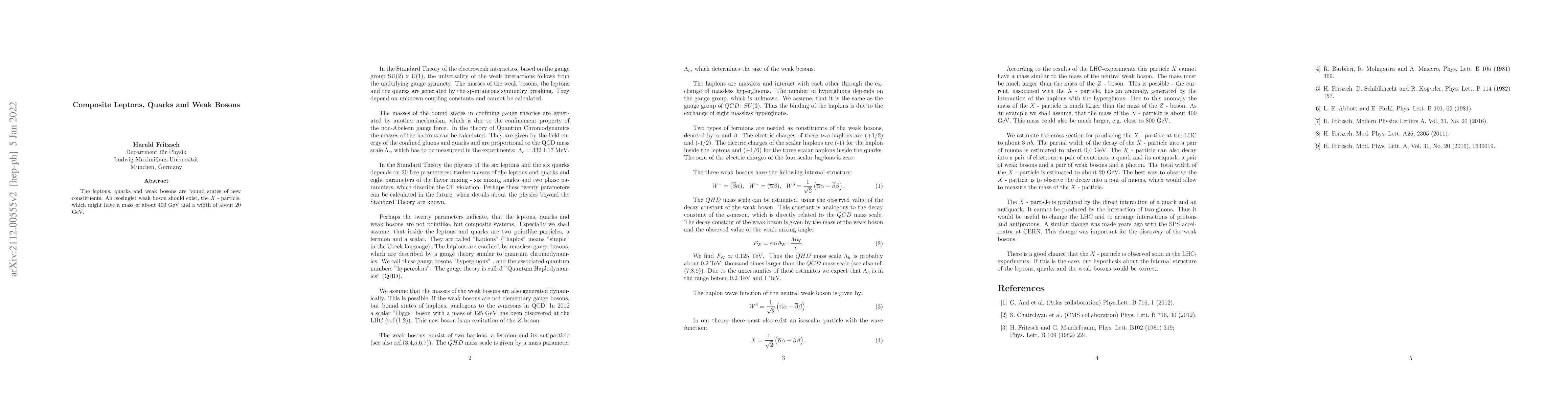 Thumbnail for Composite Weak Bosons and a New Isosinglet Particle