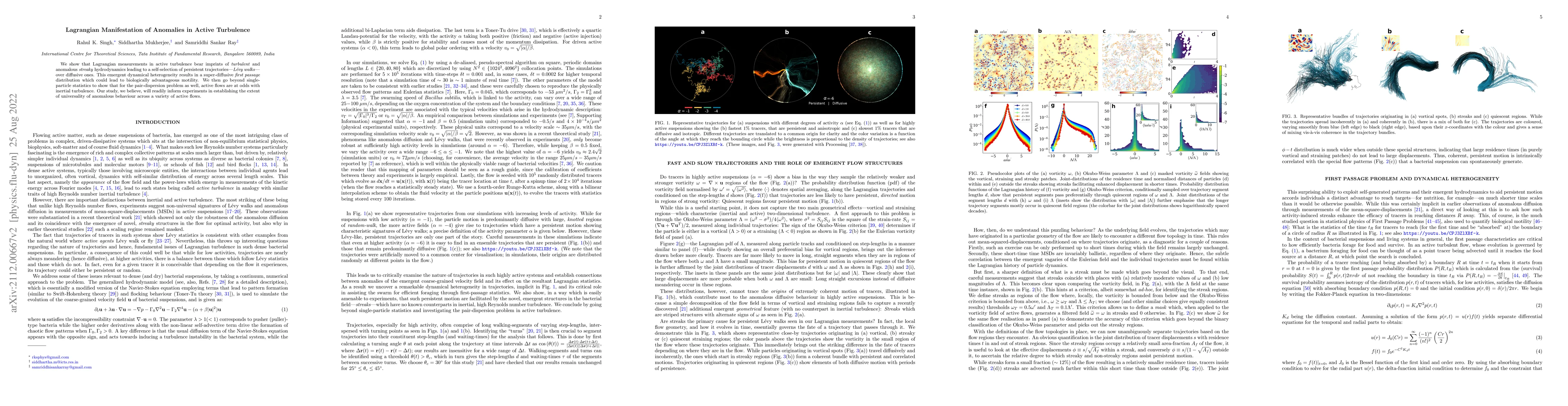Thumbnail for Lagrangian Manifestation of Anomalies in Active Turbulence