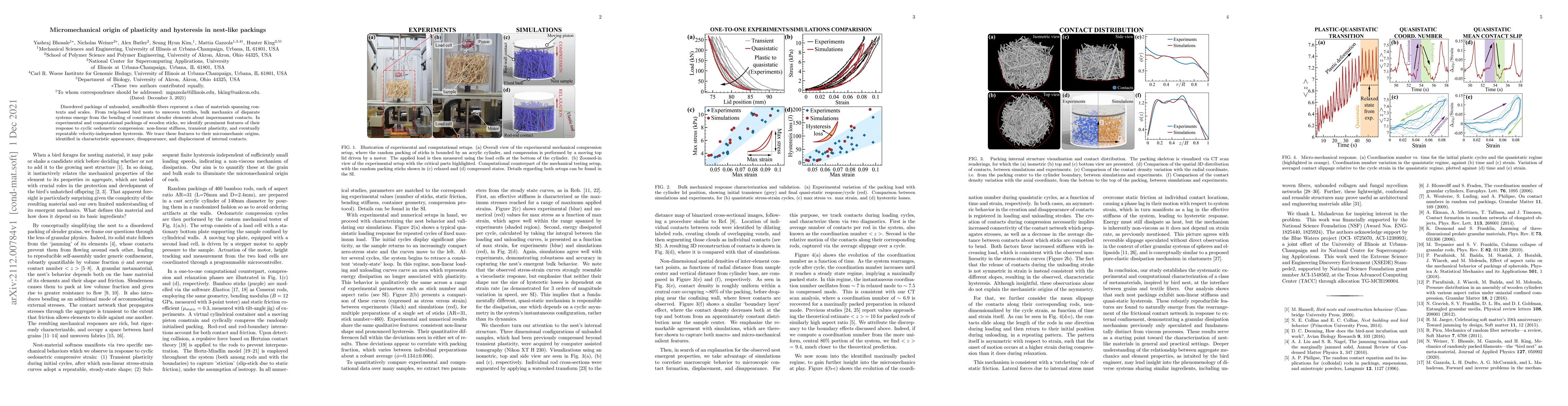 Thumbnail for Micromechanical origin of plasticity and hysteresis in nest-like
  packings