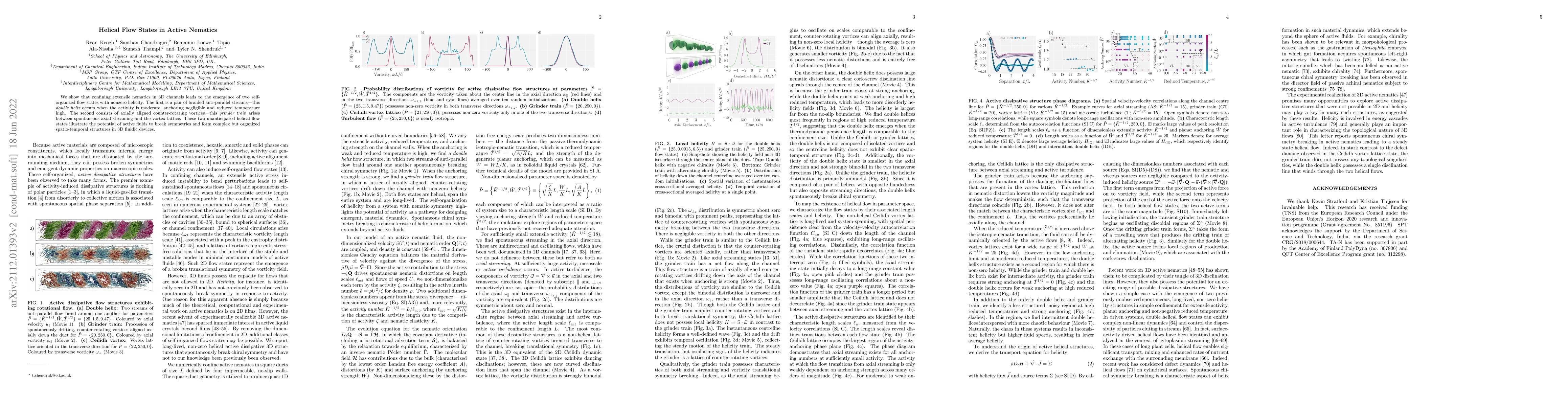 Thumbnail for Helical Flow States in Active Nematics