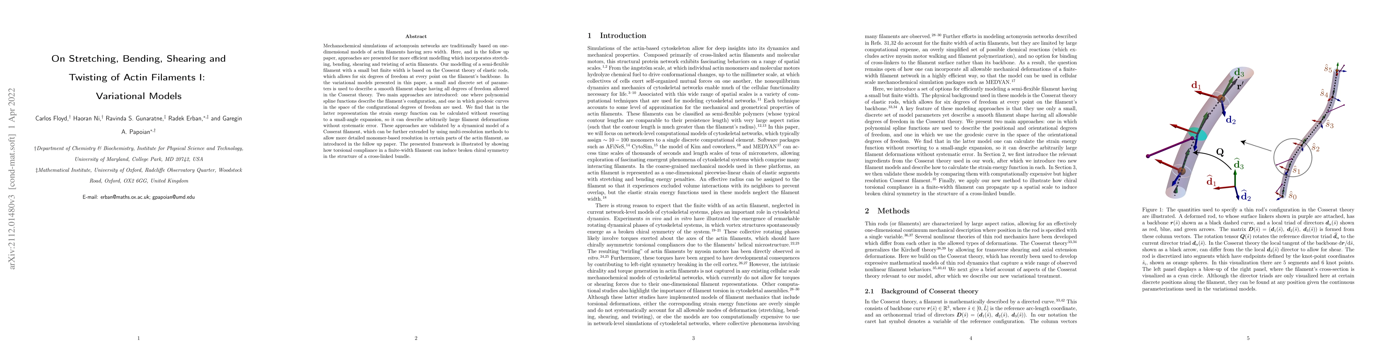 Thumbnail for On Stretching, Bending, Shearing and Twisting of Actin Filaments I:
  Variational Models