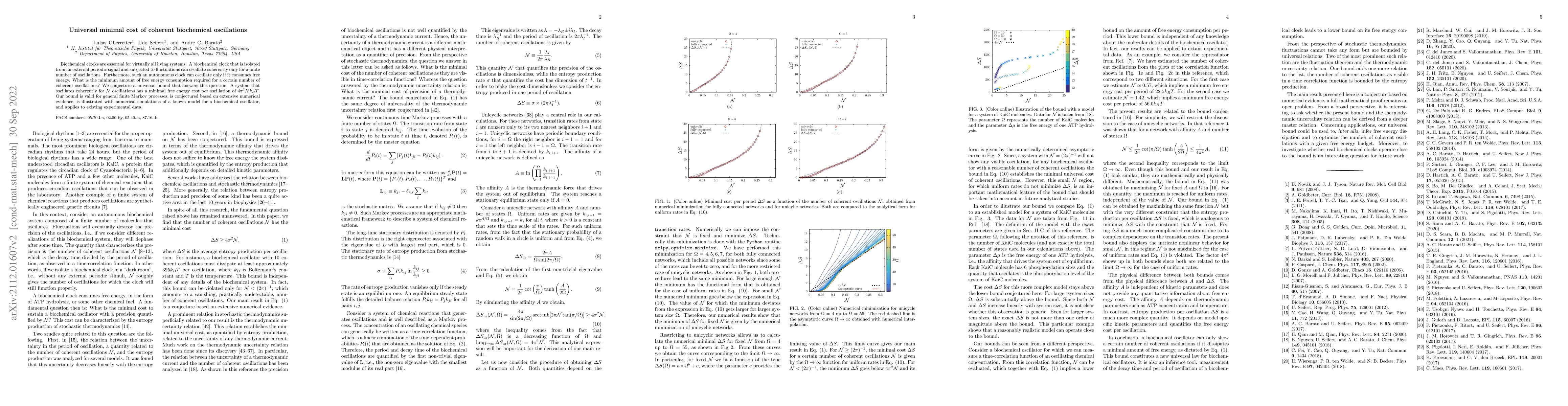 Thumbnail for Universal minimal cost of coherent biochemical oscillations