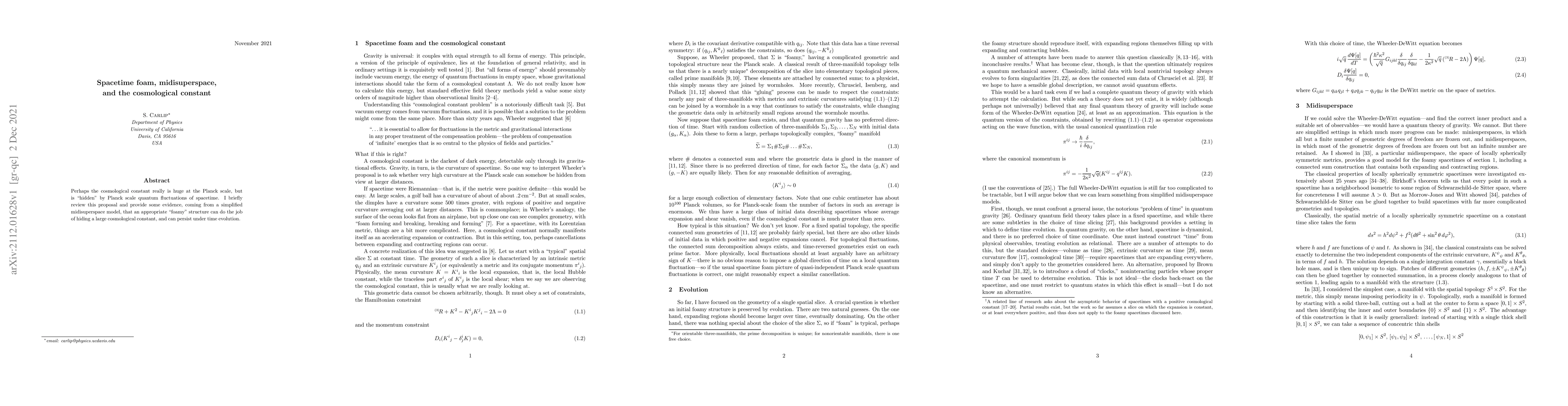 Thumbnail for Spacetime foam, midisuperspace, and the cosmological constant