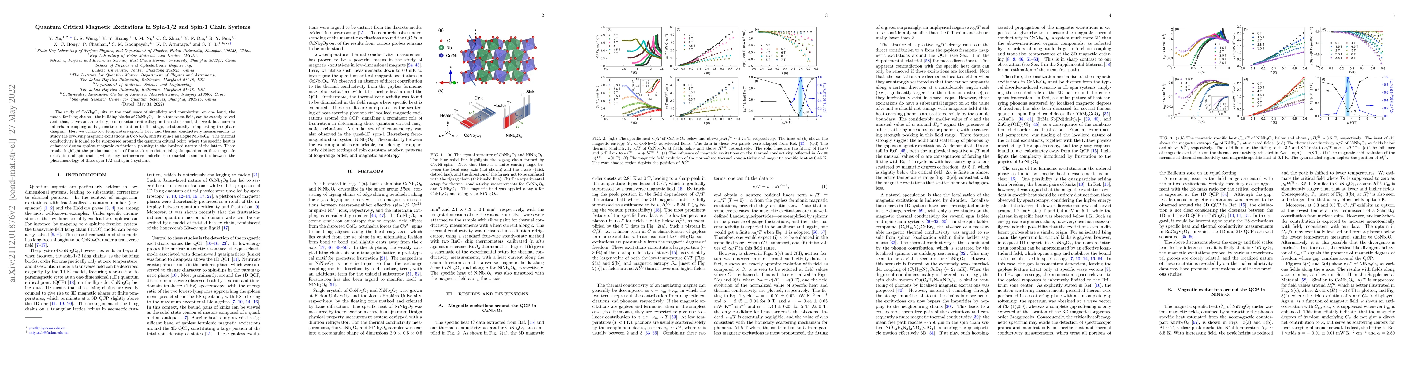Thumbnail for Quantum Critical Magnetic Excitations in Spin-1/2 and Spin-1 Chain
  Systems