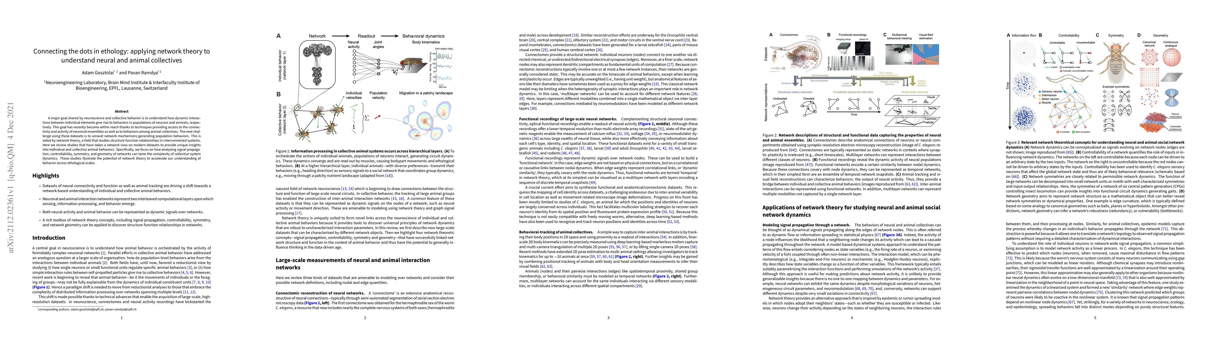 Thumbnail for Connecting the dots in ethology: applying network theory to understand
  neural and animal collectives