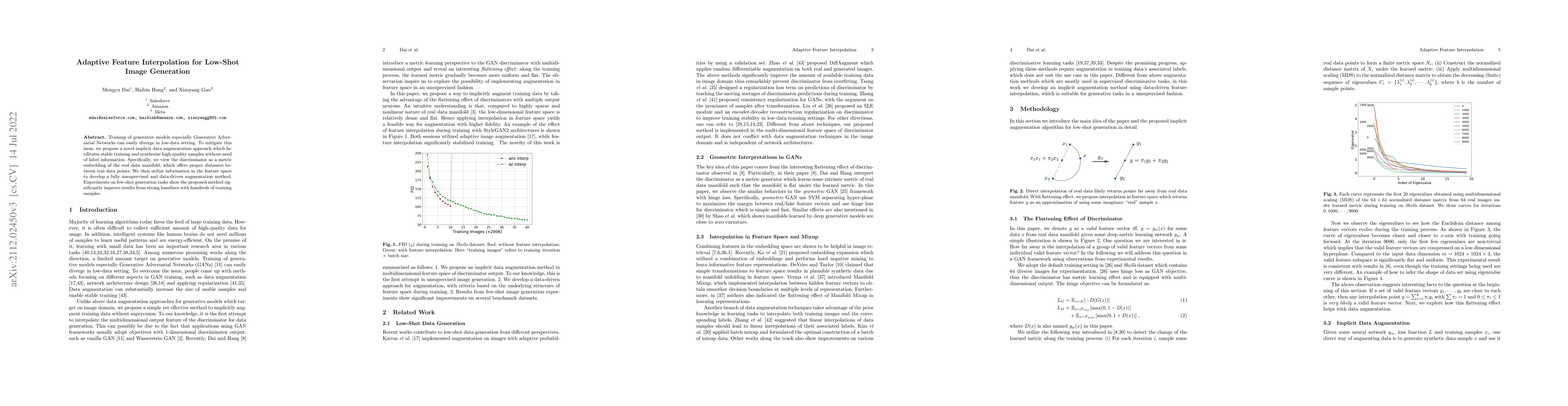 Thumbnail for Adaptive Feature Interpolation for Low-Shot Image Generation