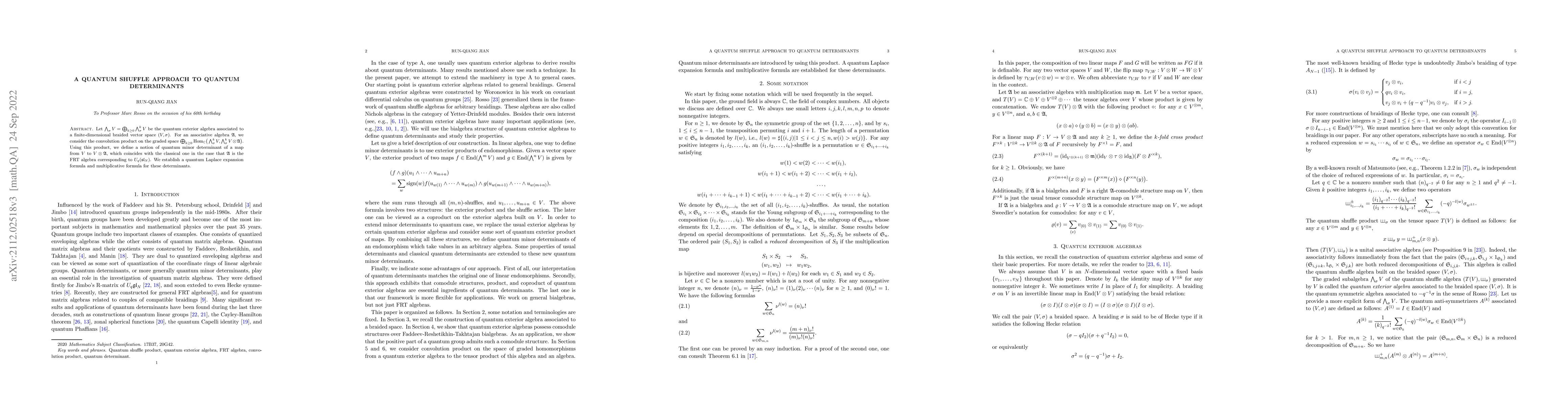 Thumbnail for A quantum shuffle approach to quantum determinants