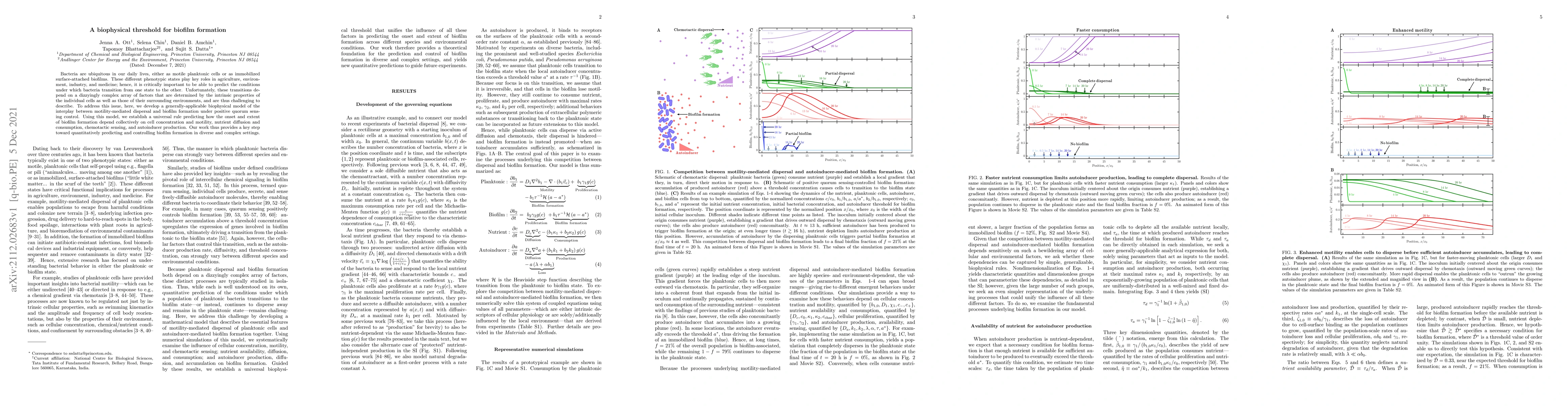 Thumbnail for A biophysical threshold for biofilm formation