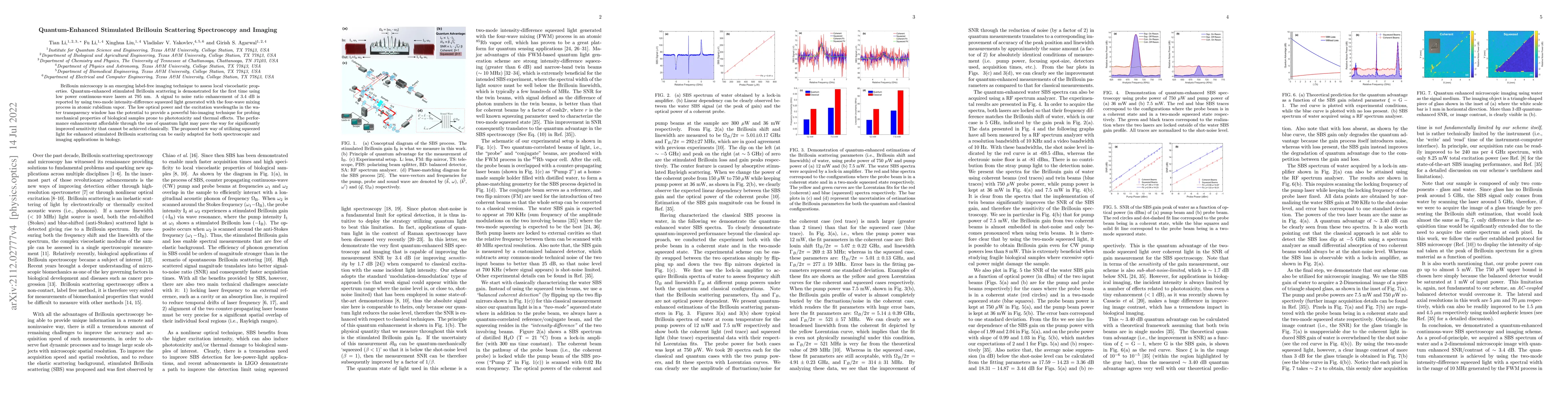 Thumbnail for Quantum-Enhanced Stimulated Brillouin Scattering Spectroscopy and
  Imaging
