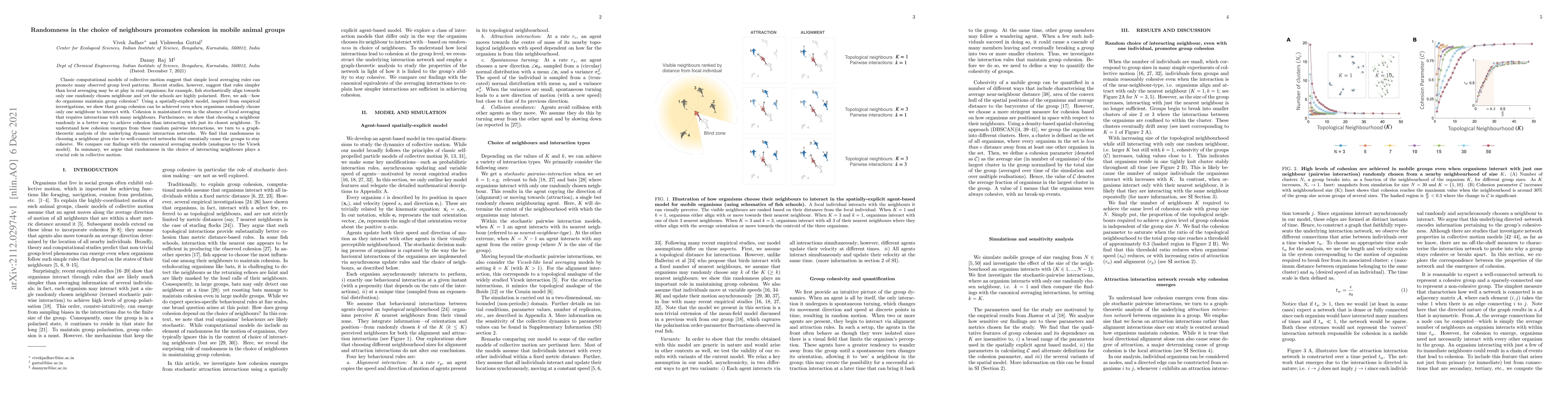 Thumbnail for Randomness in the choice of neighbours promotes cohesion in mobile
  animal groups