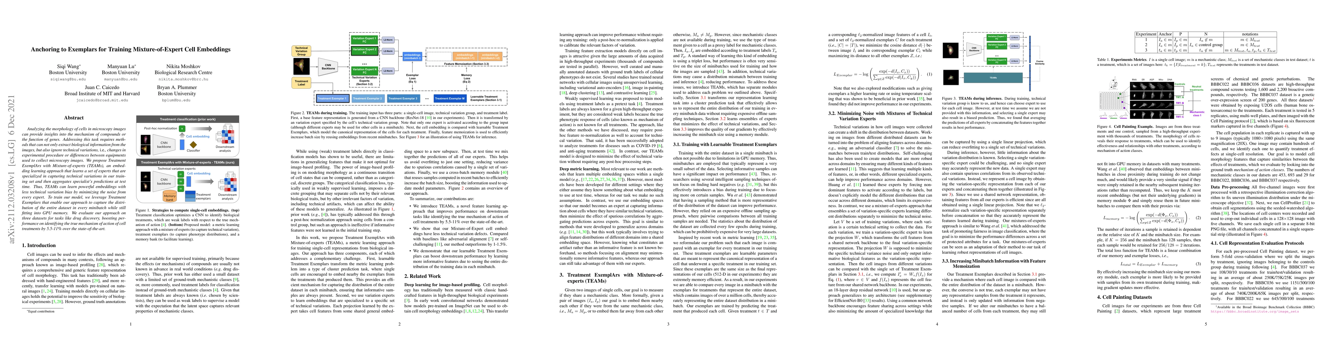 Thumbnail for Anchoring to Exemplars for Training Mixture-of-Expert Cell Embeddings