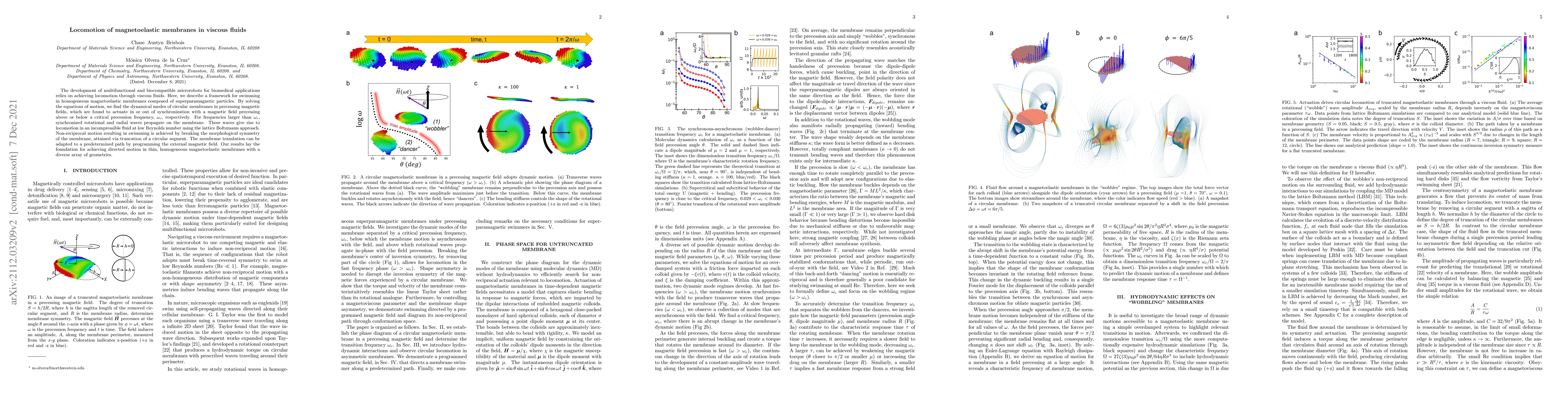 Thumbnail for Locomotion of magnetoelastic membranes in viscous fluids