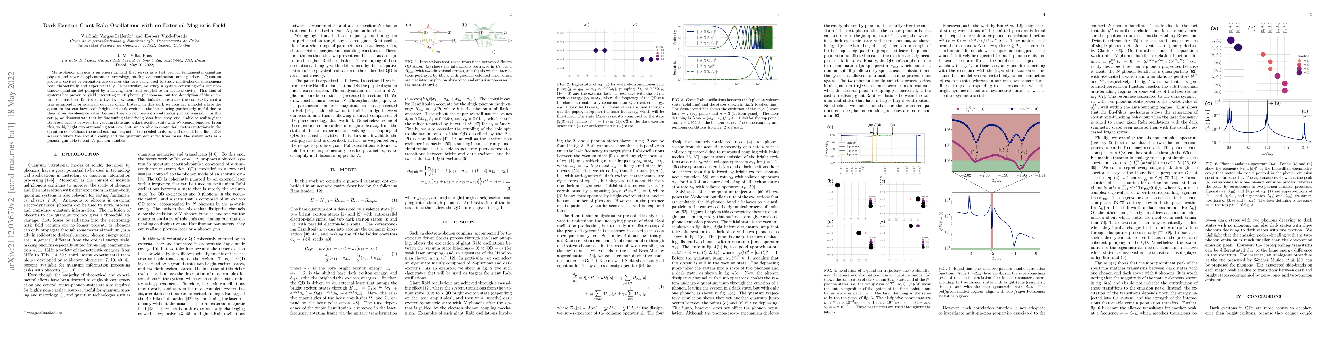 Thumbnail for Dark Exciton Giant Rabi Oscillations with no External Magnetic Field