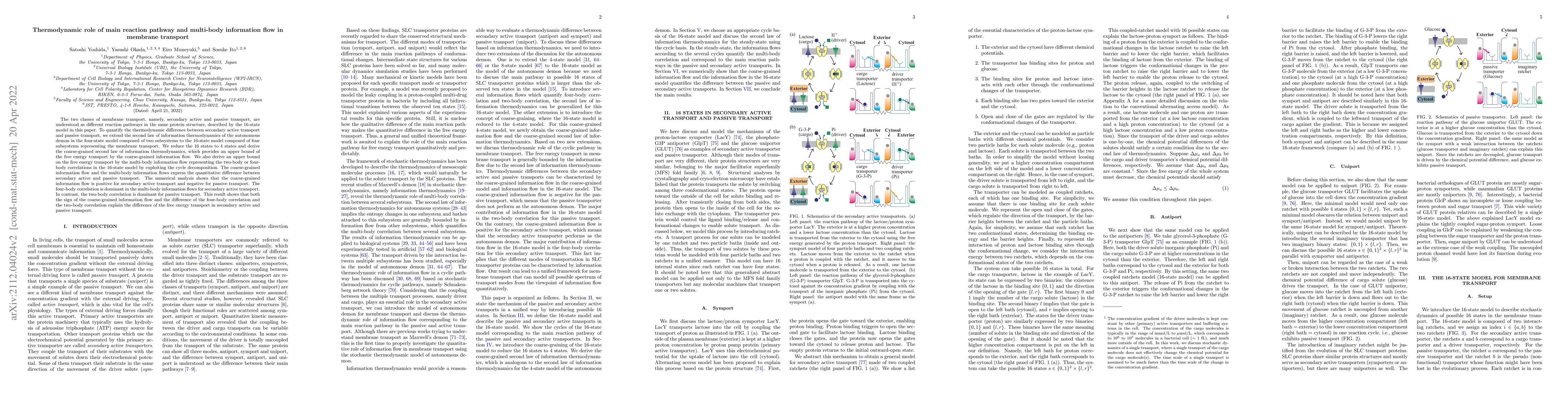 Thumbnail for Thermodynamic role of main reaction pathway and multi-body information
  flow in membrane transport