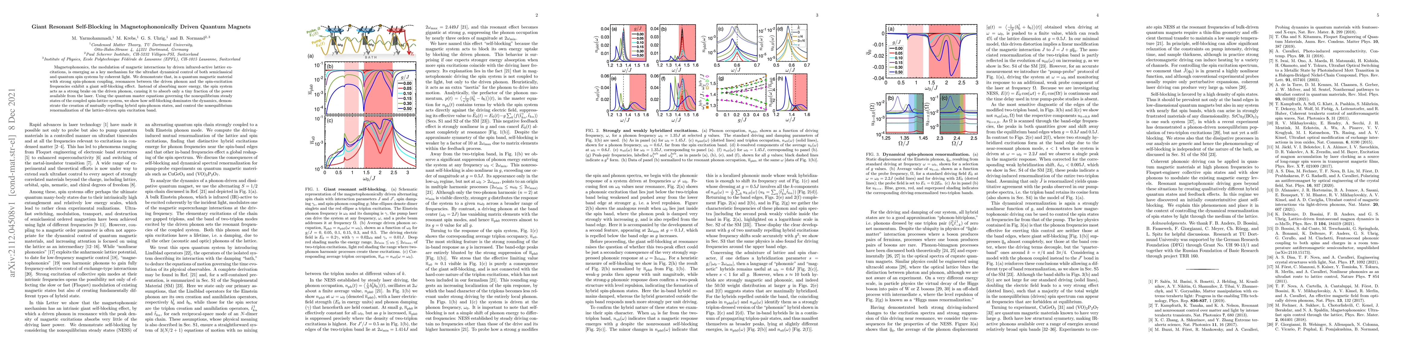 Thumbnail for Giant Resonant Self-Blocking in Magnetophononically Driven Quantum
  Magnets