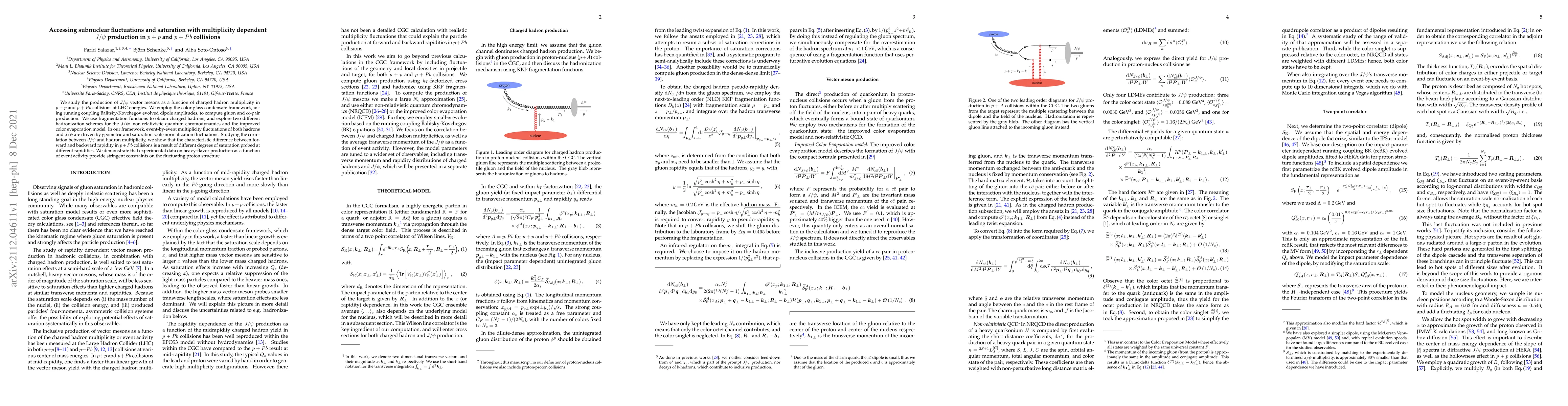 Thumbnail for Accessing subnuclear fluctuations and saturation with multiplicity
  dependent $J/\psi$ production in p+p and p+Pb collisions