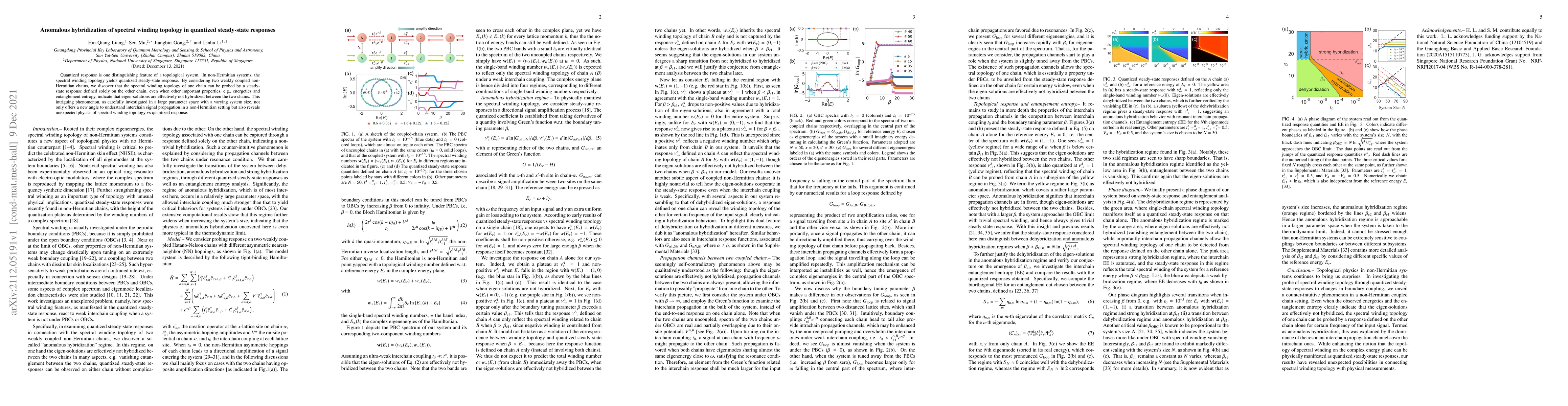 Thumbnail for Anomalous hybridization of spectral winding topology in quantized
  steady-state responses