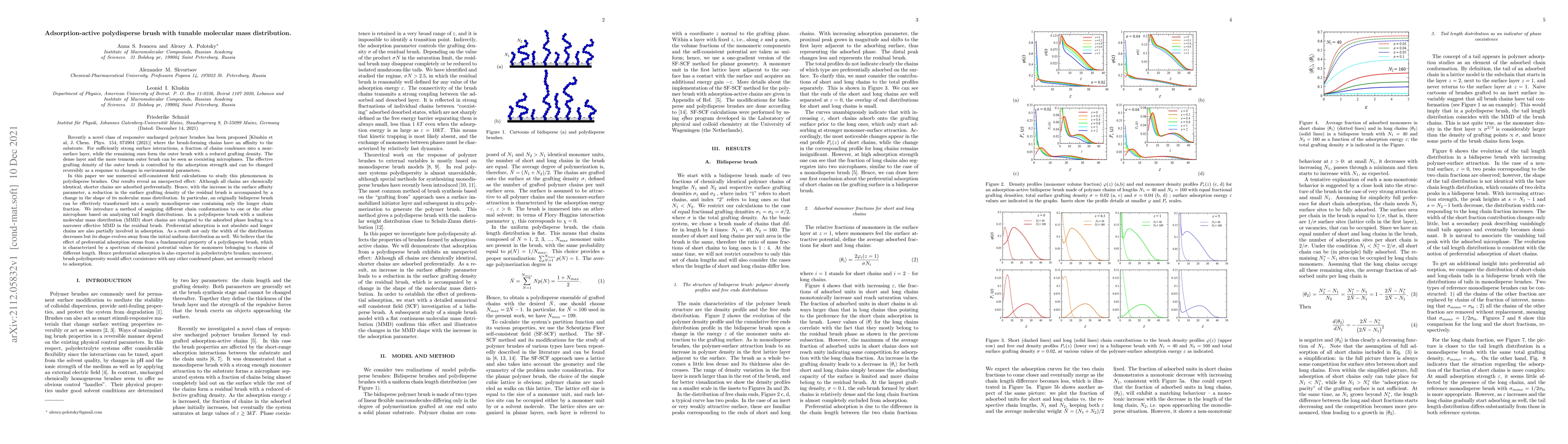 Thumbnail for Adsorption-active polydisperse brush with tunable molecular mass
  distribution