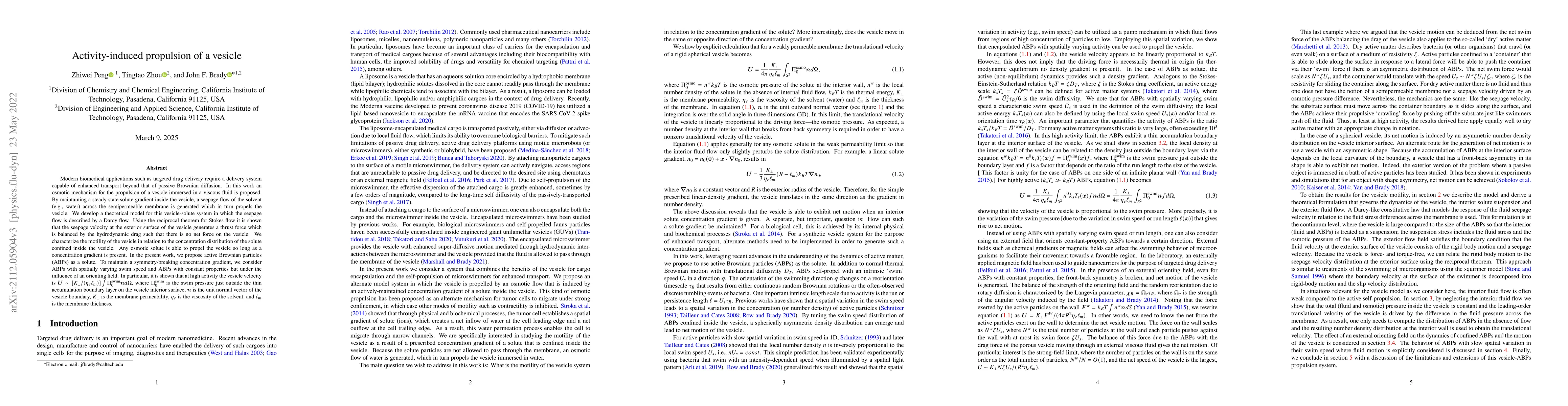 Thumbnail for Activity-induced propulsion of a vesicle