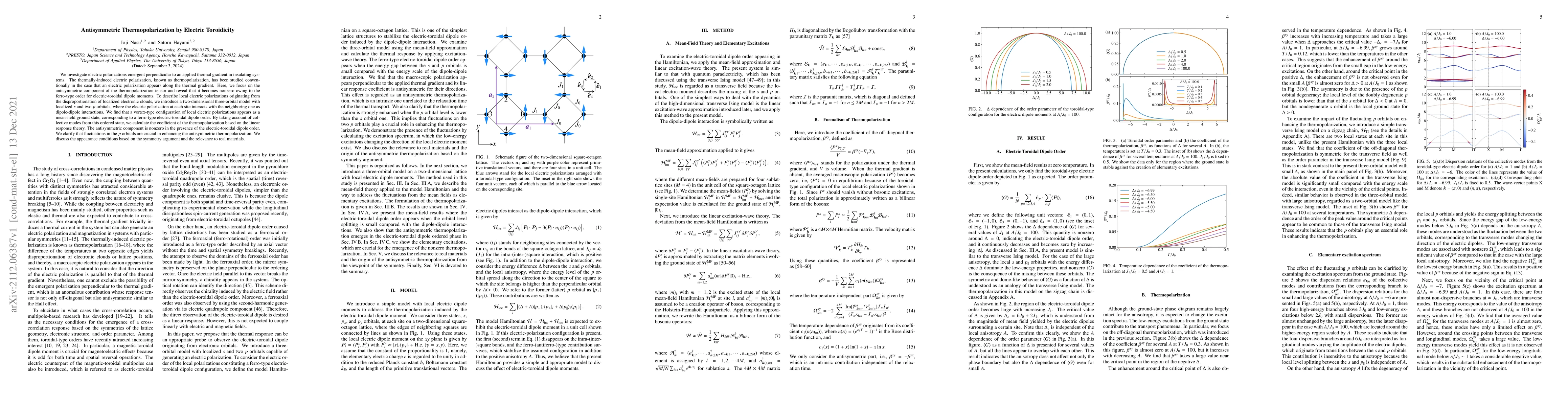 Thumbnail for Antisymmetric Thermopolarization by Electric Toroidicity