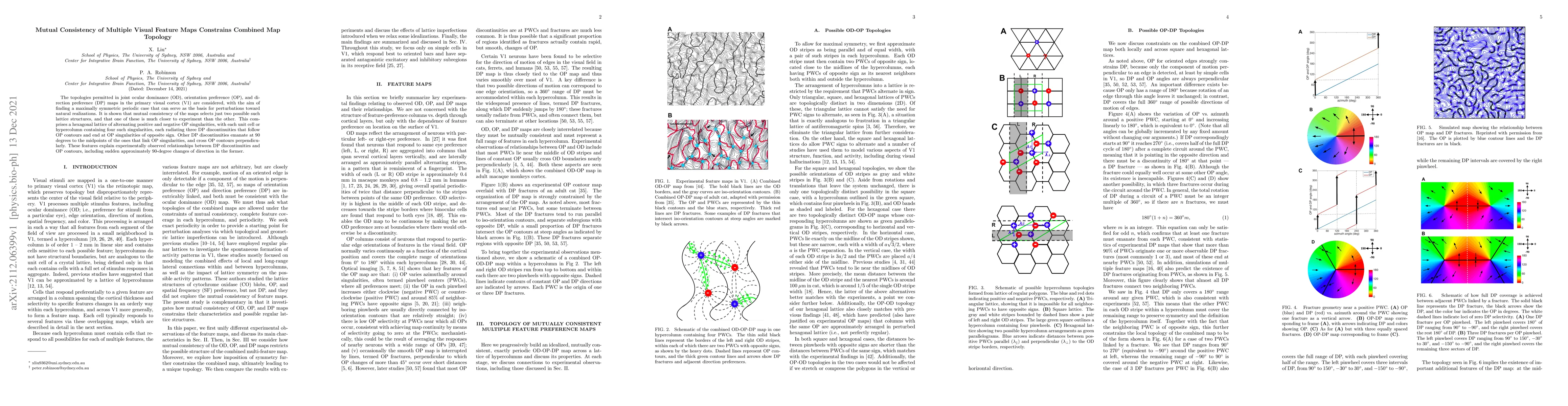Thumbnail for Mutual Consistency of Multiple Visual Feature Maps Constrains Combined
  Map Topology