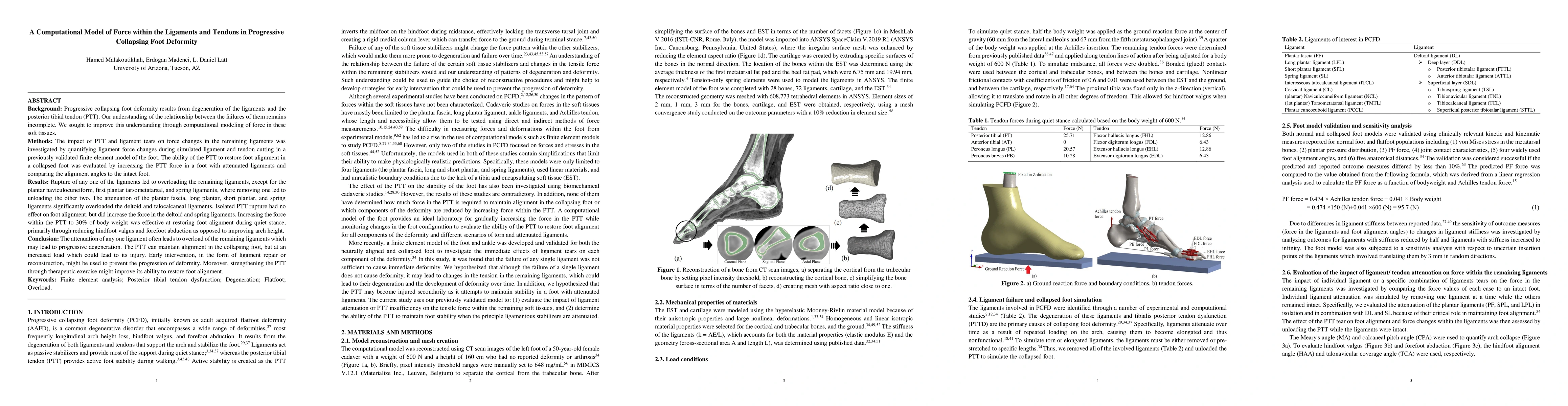 Thumbnail for A Computational Model of Force within the Ligaments and Tendons in
  Progressive Collapsing Foot Deformity