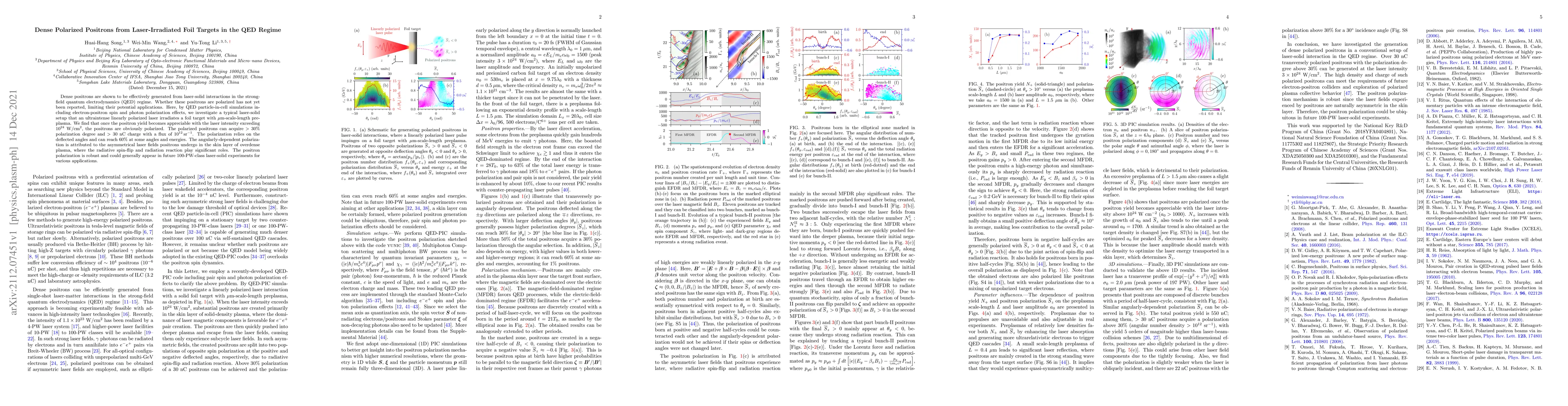 Thumbnail for Dense Polarized Positrons from Laser-Irradiated Foil Targets in the QED
  Regime