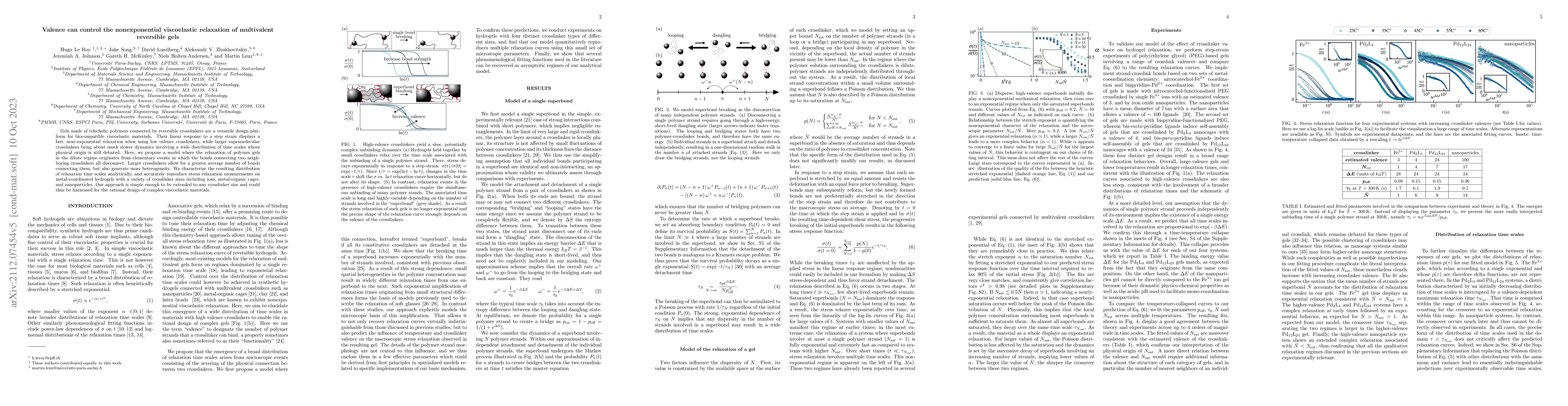 Thumbnail for Valence can control the nonexponential viscoelastic relaxation of
  multivalent reversible gels