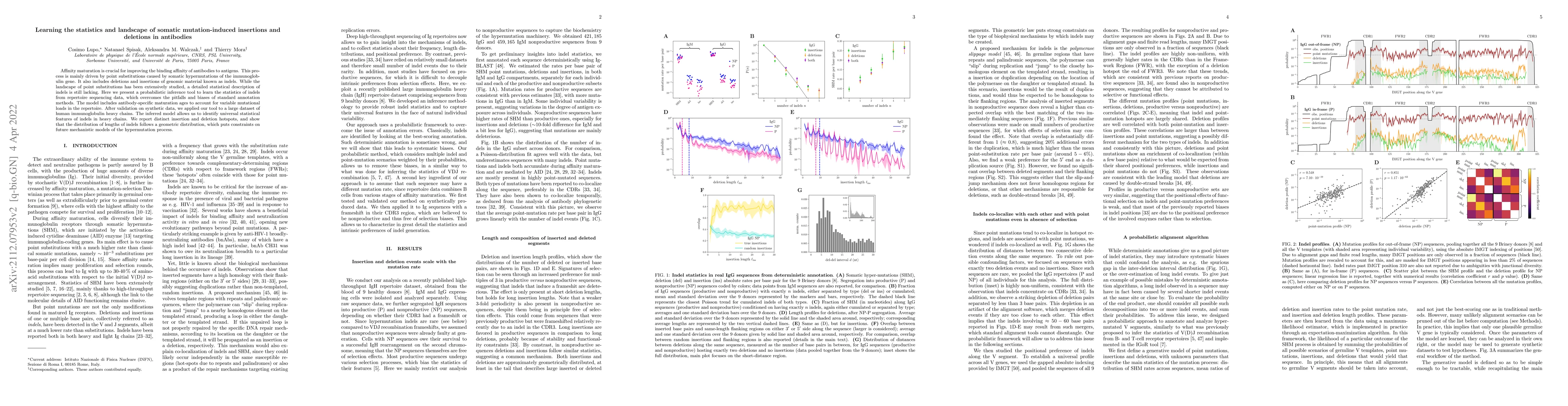Thumbnail for Learning the statistics and landscape of somatic mutation-induced
  insertions and deletions in antibodies