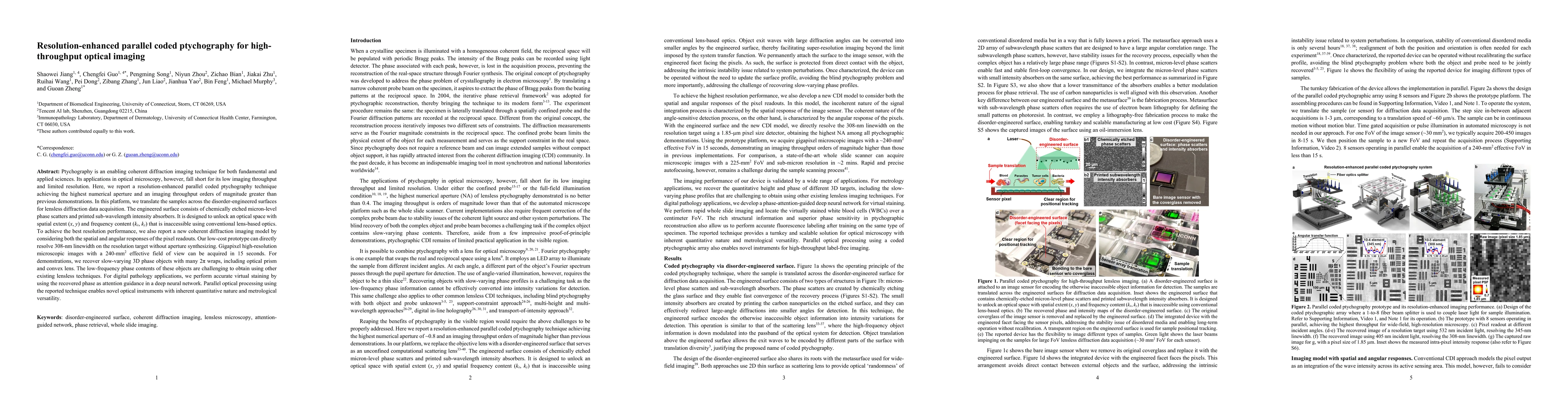 Thumbnail for Resolution-enhanced parallel coded ptychography for high-throughput
  optical imaging