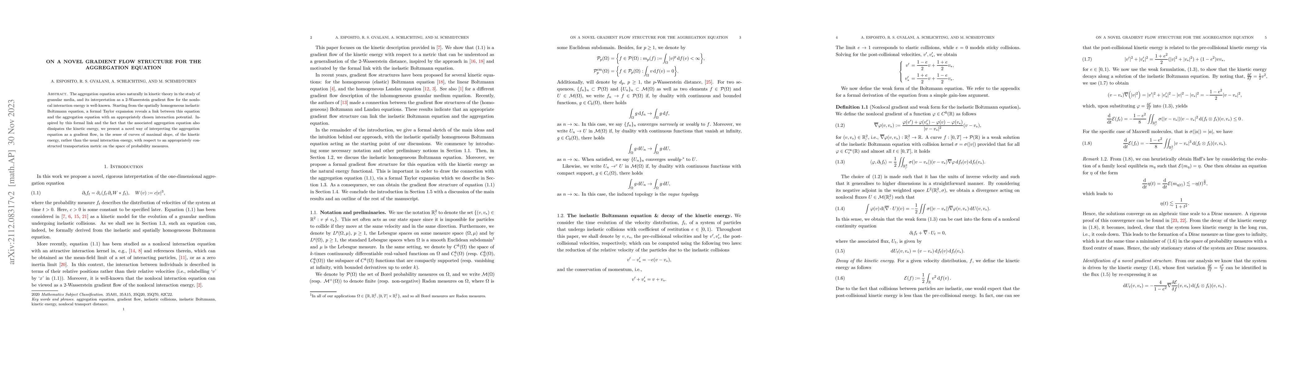 Thumbnail for On a novel gradient flow structure for the aggregation equation