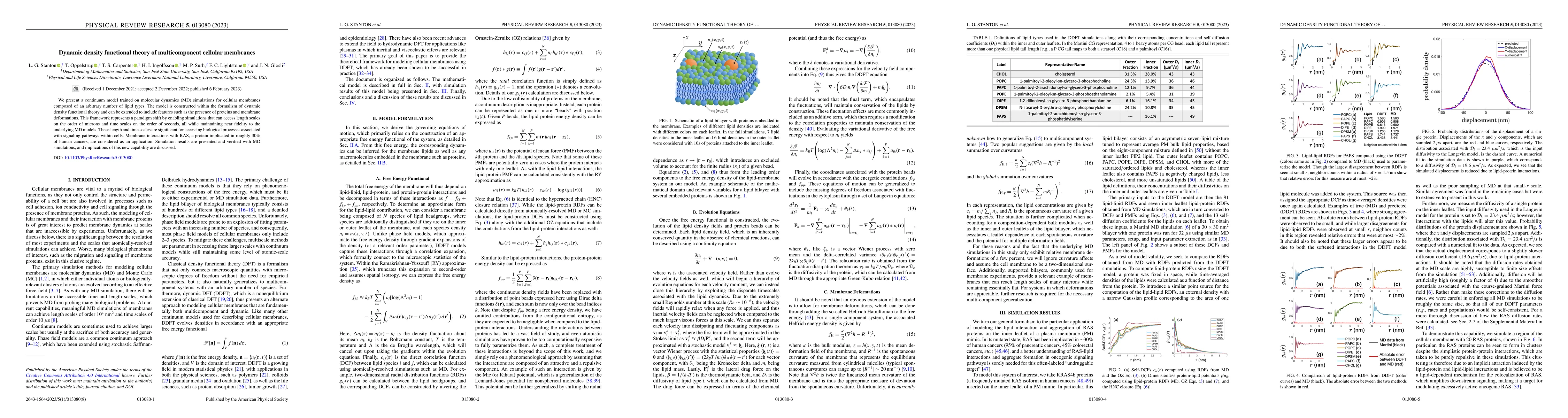 Thumbnail for Dynamic Density Functional Theory of Multicomponent Cellular Membranes