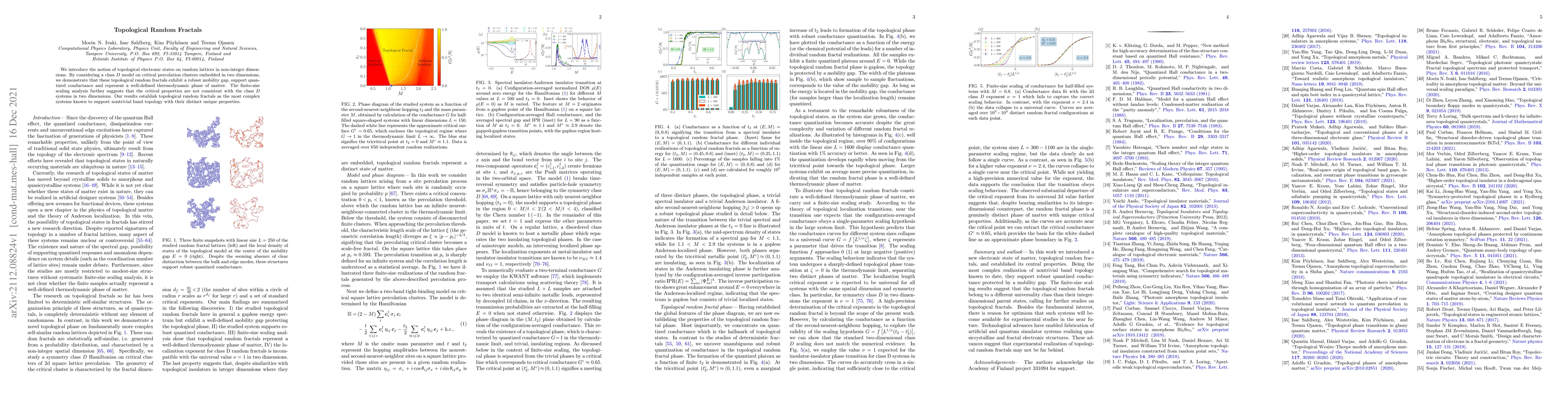 Thumbnail for Topological Random Fractals