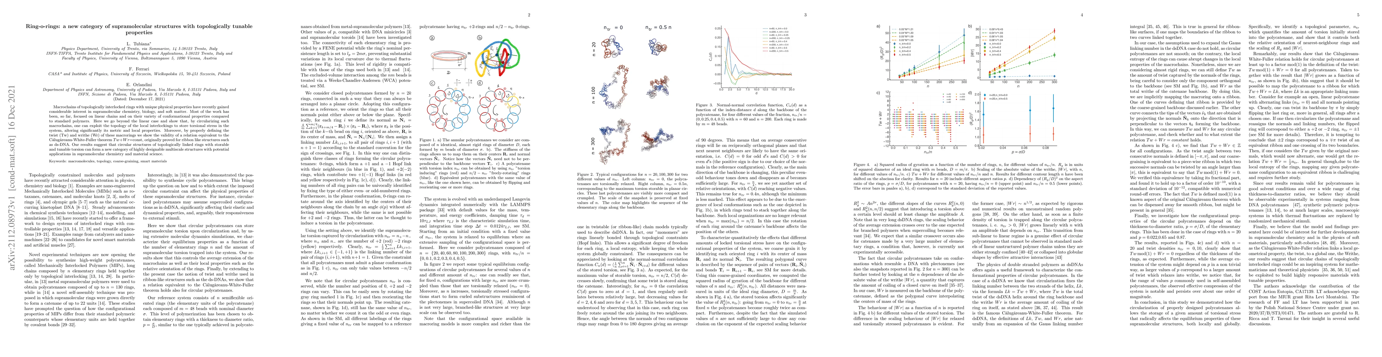 Thumbnail for Ring-o-rings: a new category of supramolecular structures with
  topologically tunable properties