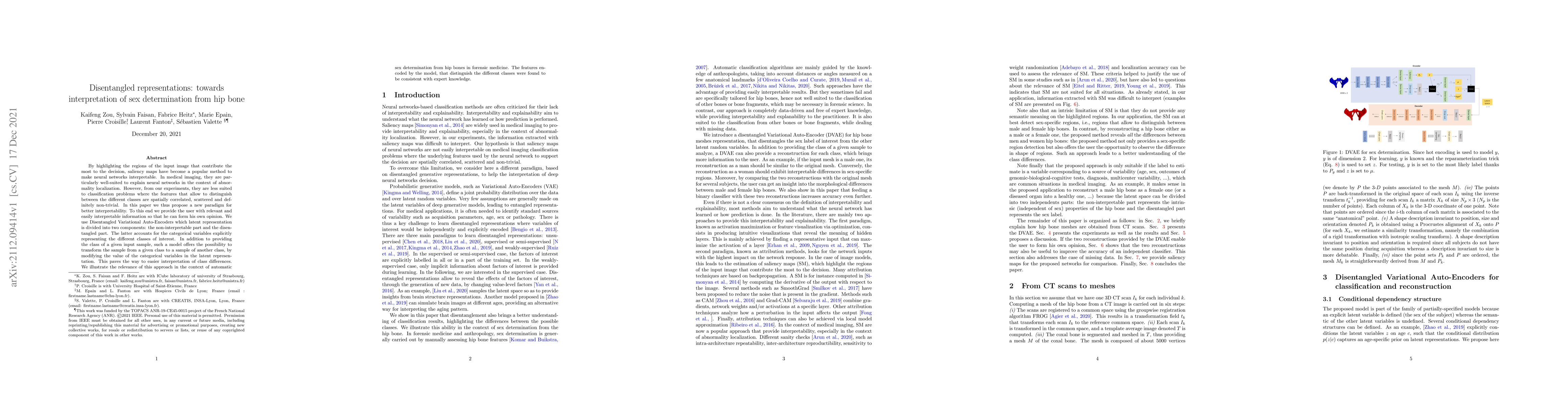 Thumbnail for Disentangled representations: towards interpretation of sex
  determination from hip bone