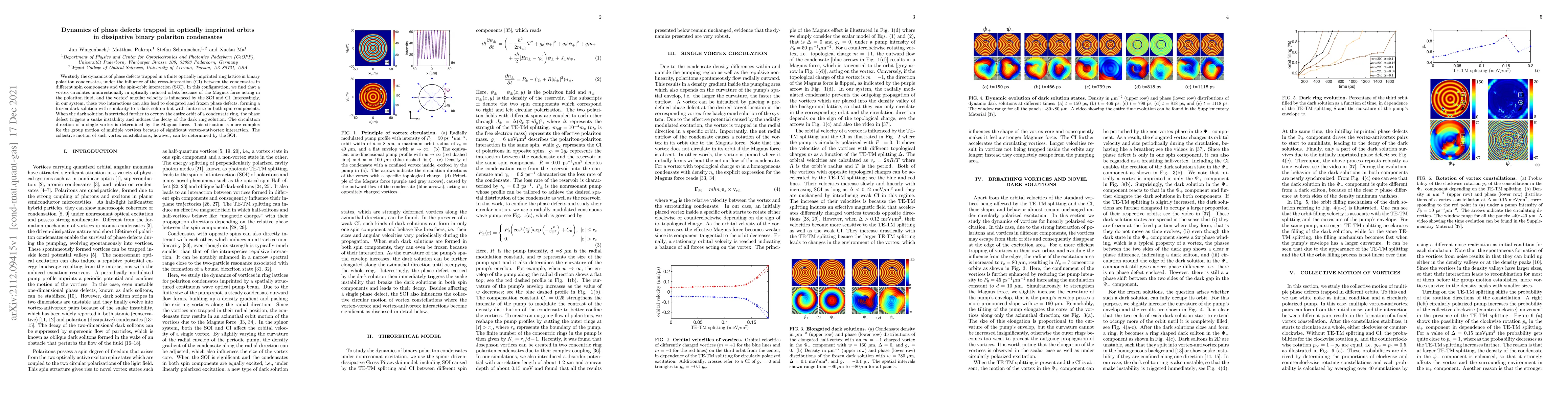 Thumbnail for Dynamics of phase defects trapped in optically imprinted orbits in
  dissipative binary polariton condensate