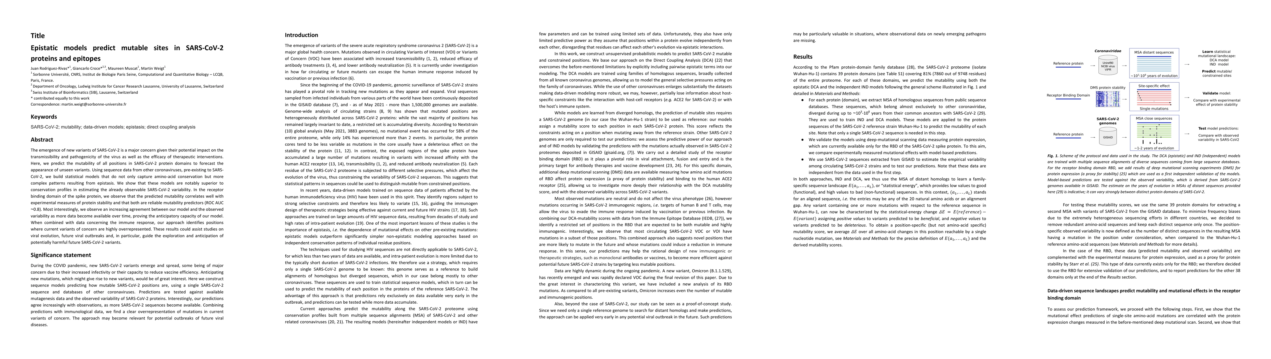 Thumbnail for Epistatic models predict mutable sites in SARS-CoV-2 proteins and
  epitopes