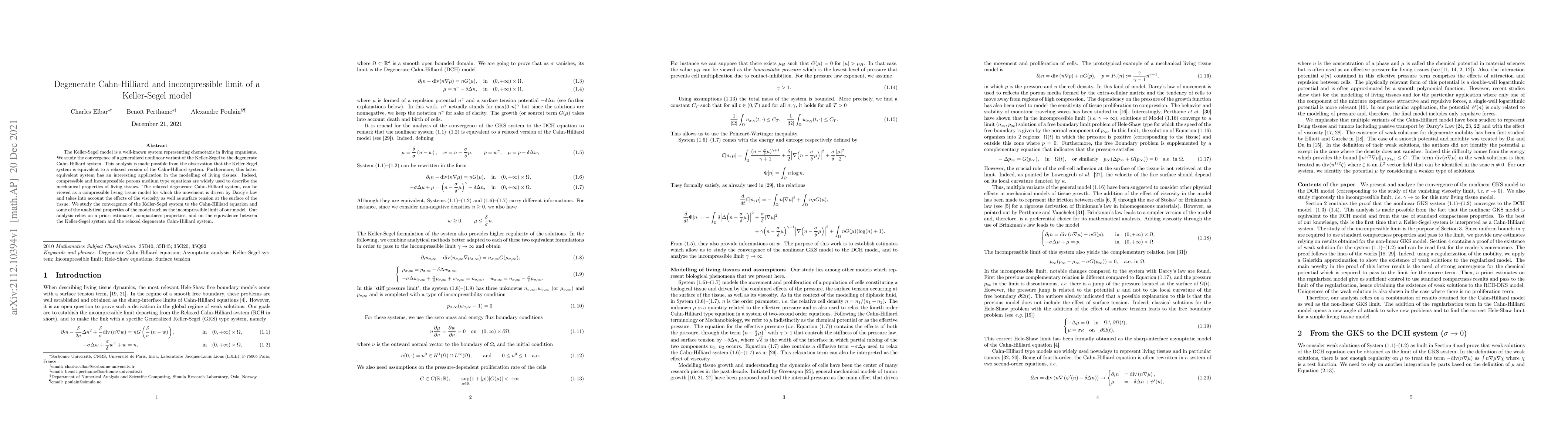 Thumbnail for Degenerate Cahn-Hilliard and incompressible limit of a Keller-Segel
  model
